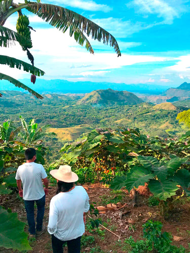 Colombia Buesaco - Jardines | Washed